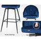 Stool Haven Set of 2 Bar Stools Kitchen Stool Dining Chairs Velvet Chair Barstool Blue Mesial